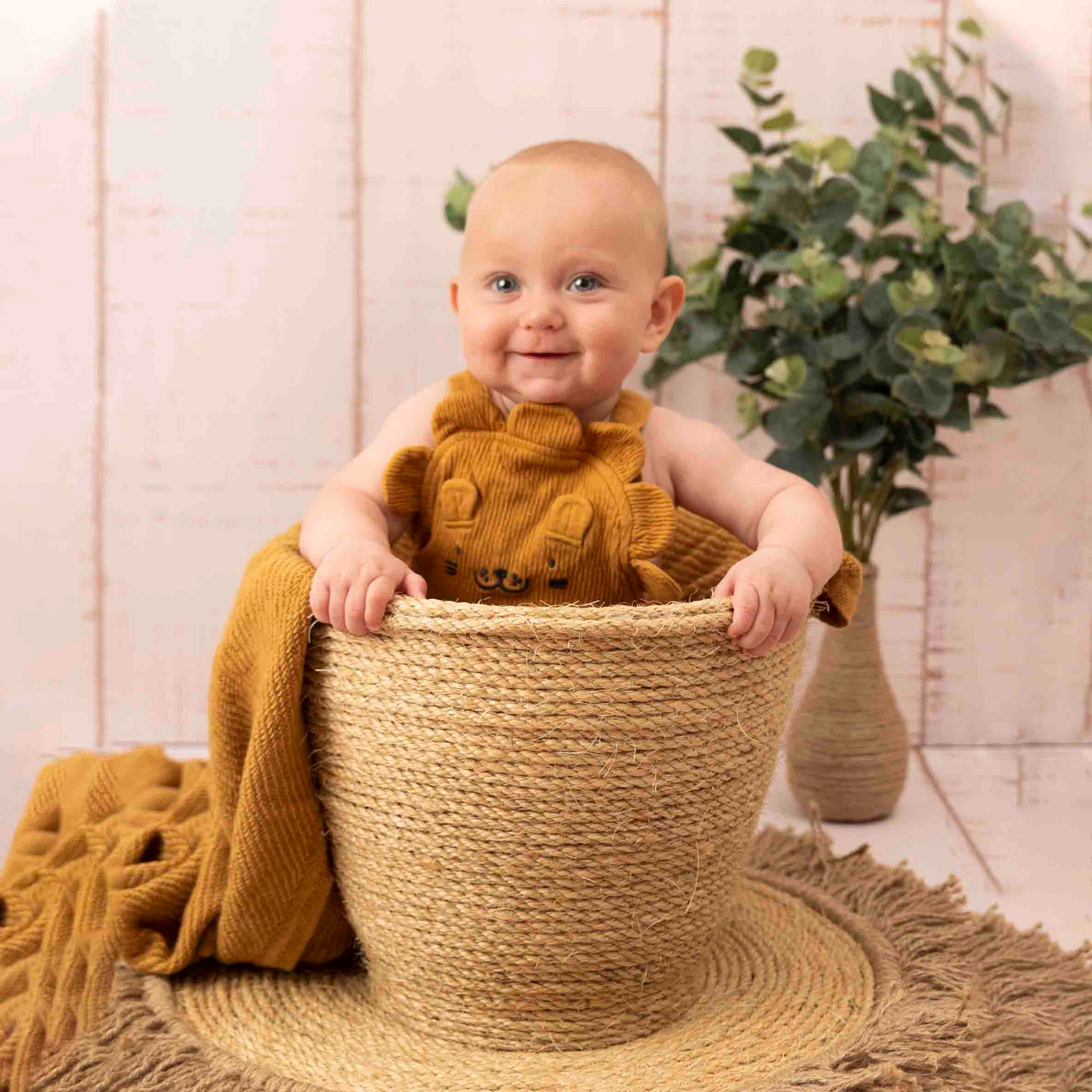 standard  package sitter baby photography